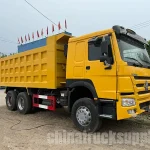 Liberia Customer Visited Fudeng to Buy HOWO Dump Trucks 1